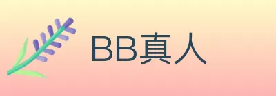 BB真人 logo